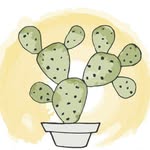 Planetdesert Coupons and Promo Code