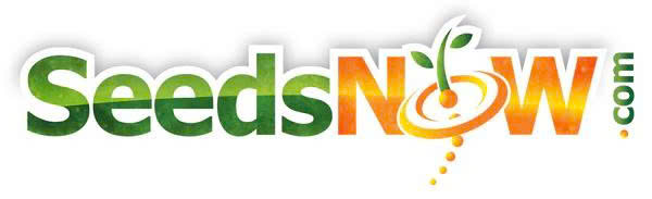Seedsnow  70% Off (20 Verified) Jun 2026 Coupons and Promo Code