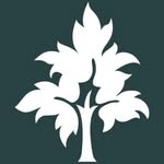 T.Ly Coupons and Promo Code