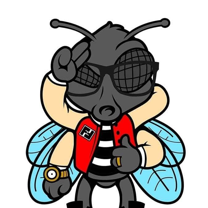 Fashionably Fly Clothing Coupons and Promo Code