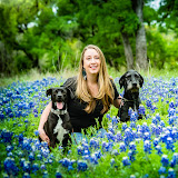 Essentialoilvet Coupons and Promo Code