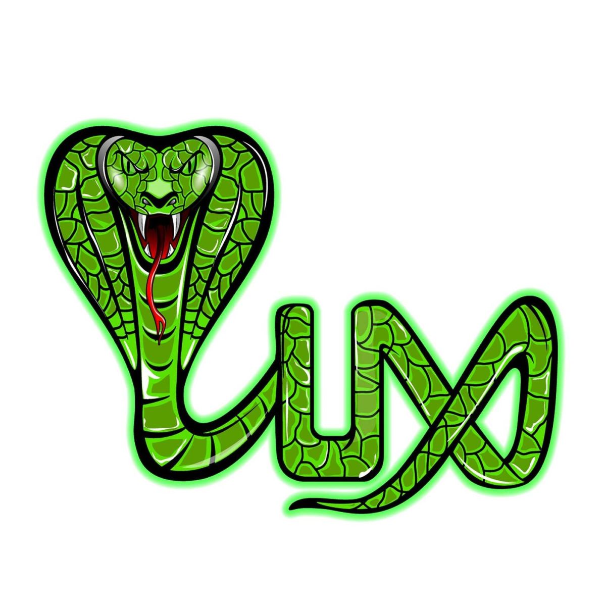 Luxsports Coupons and Promo Code