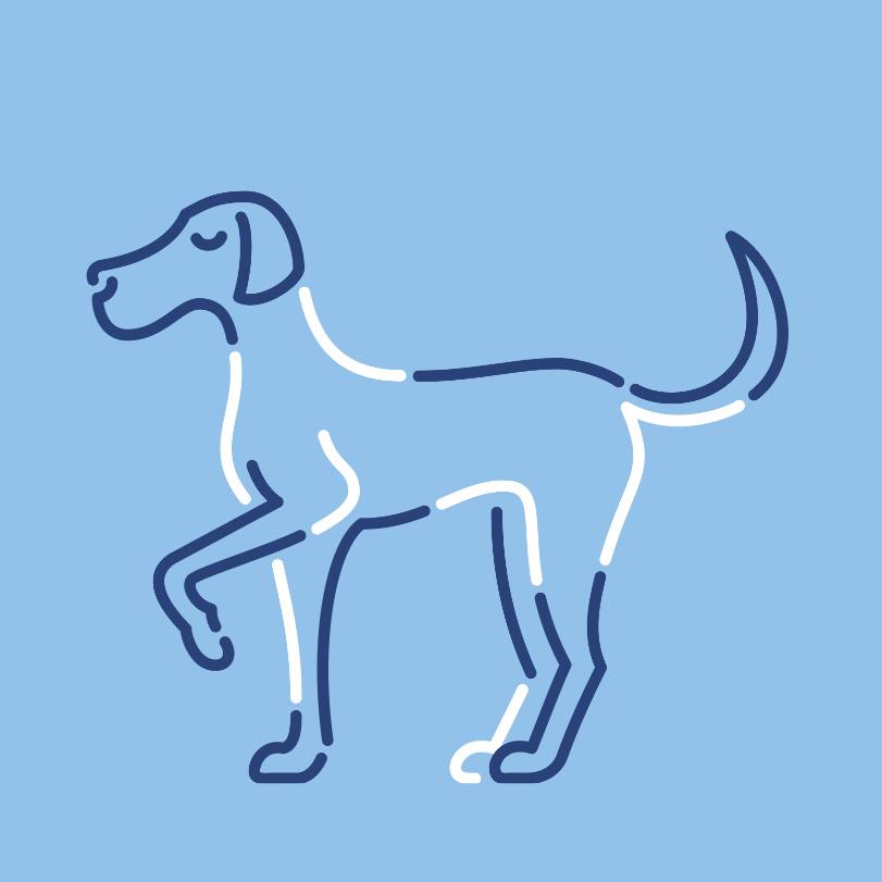 Wagwellpet Coupons and Promo Code