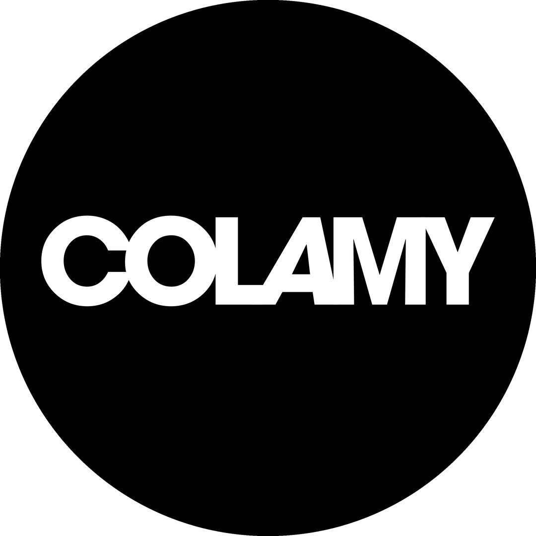 COLAMY Coupons and Promo Code