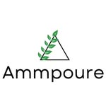 Ammpoure-n Coupons and Promo Code