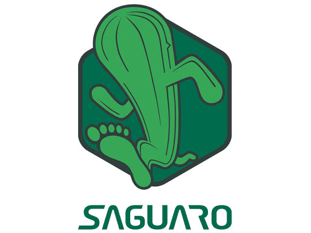 SAGUARO Coupons and Promo Code