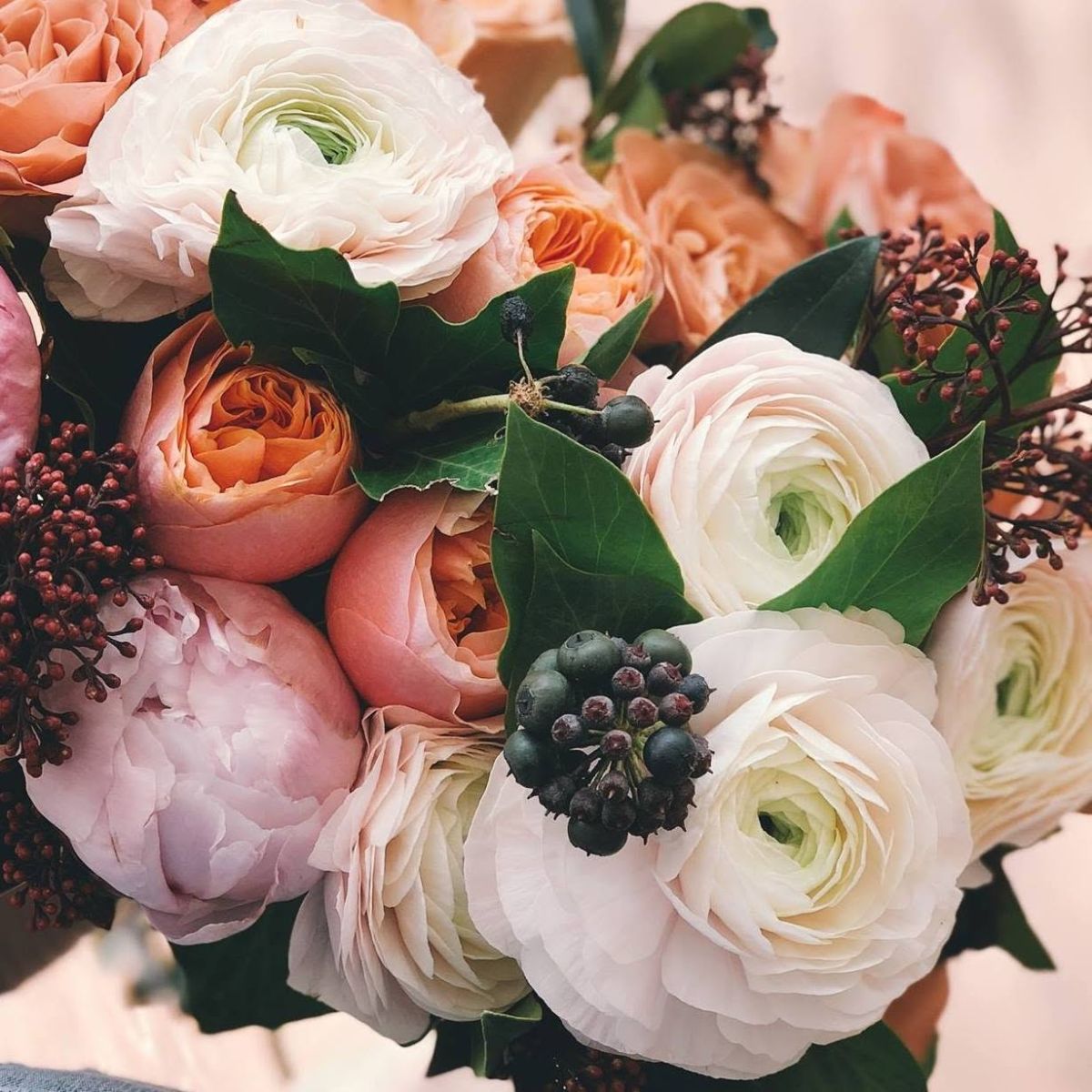 abcFlora Coupons and Promo Code