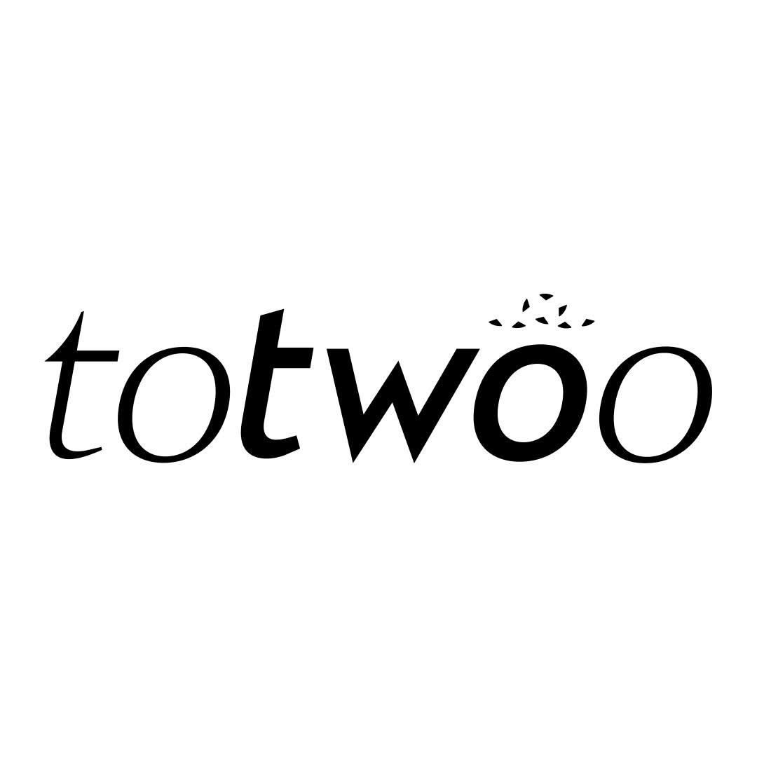 Totwoo Smart Jewelry Coupons and Promo Code