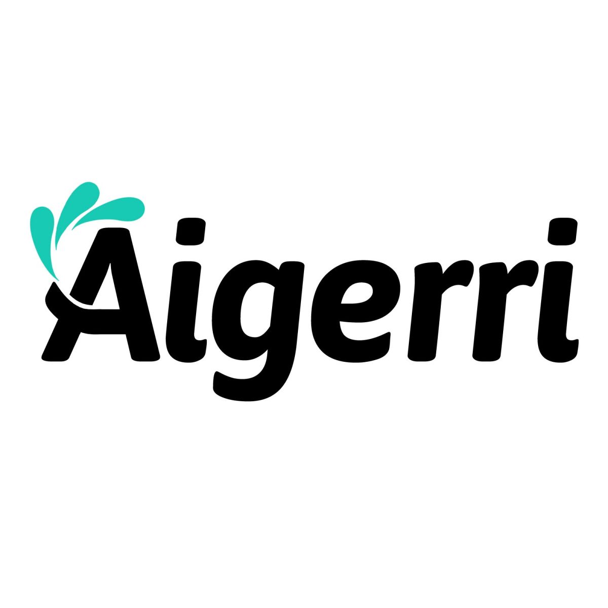Aigerri Coupons and Promo Code