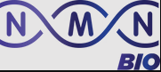 Nmnbio Coupons and Promo Code