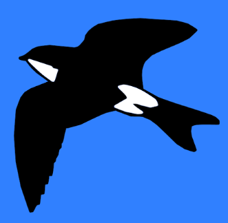 Martinic Coupons and Promo Code