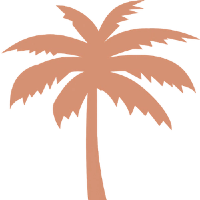 Bohobeachhut Coupons and Promo Code