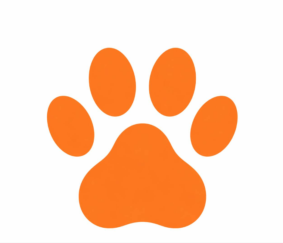 Pawtique Coupons and Promo Code