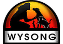 WYSONG Coupons and Promo Code