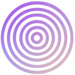 The Schumann-n Coupons and Promo Code