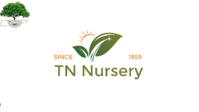 Tn nursery Coupons and Promo Code