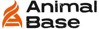Animal Base Coupons and Promo Code