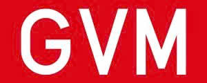 GVM Coupons and Promo Code