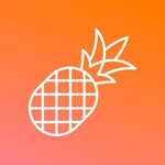 Pineapplebuilder Coupons and Promo Code