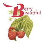 Berry Beautiful Coupons and Promo Code