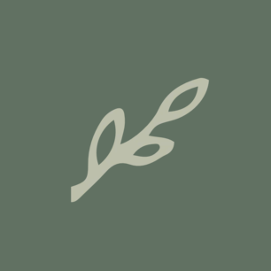 Biankina Coupons and Promo Code