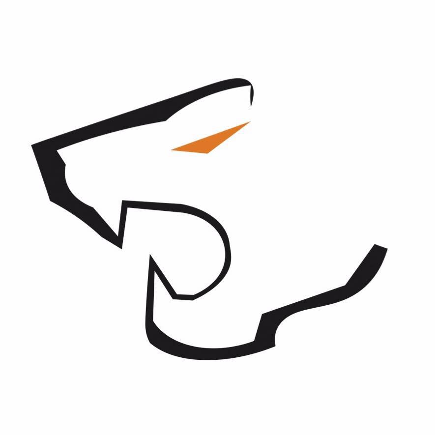 bravose Coupons and Promo Code