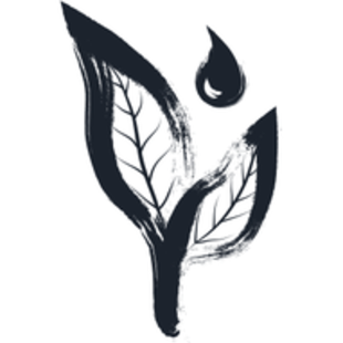 borntea Coupons and Promo Code