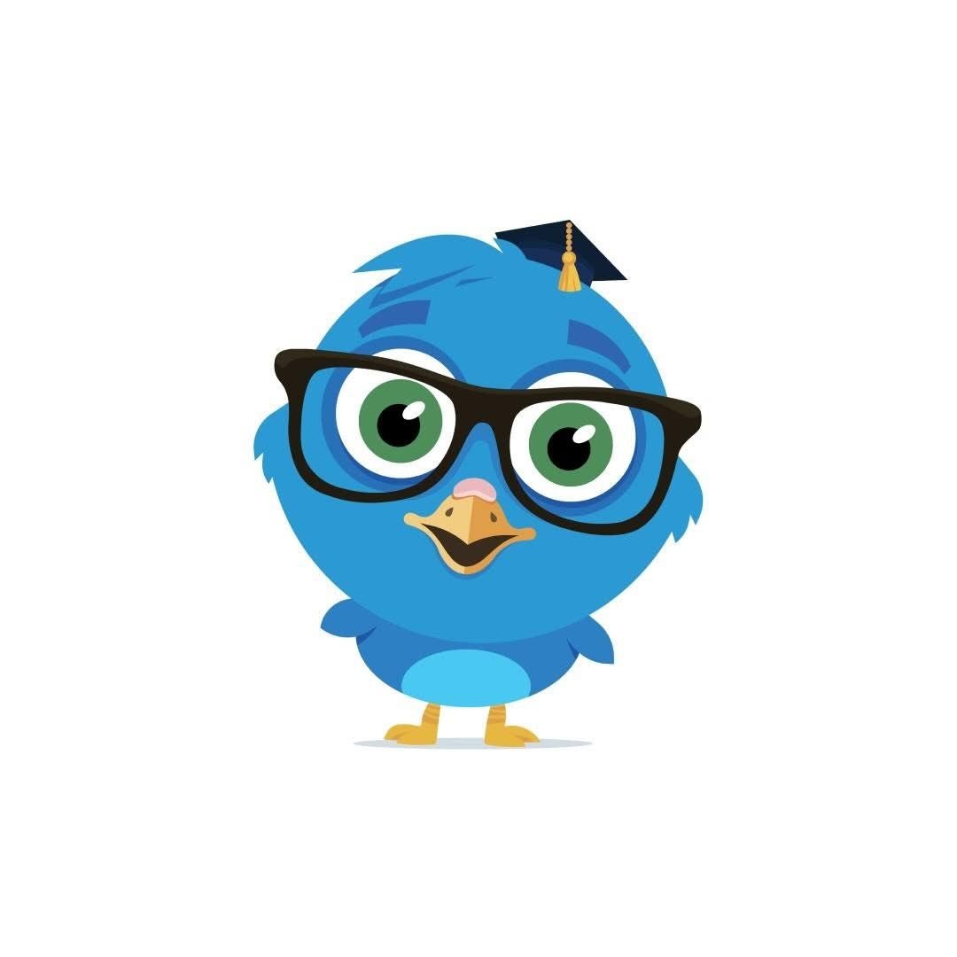 edubirdie-nb Coupons and Promo Code