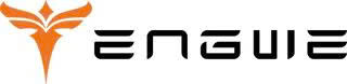 Engwe Coupons and Promo Code