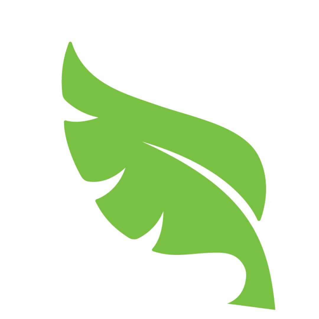 forest leaf-n Coupons and Promo Code