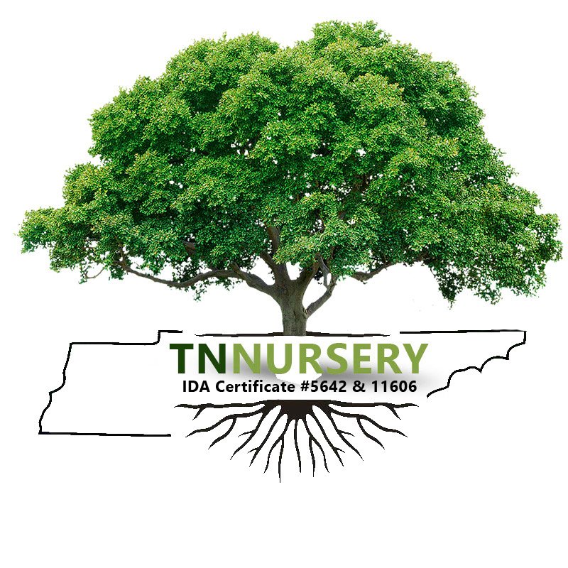 TN Nursery Coupons and Promo Code