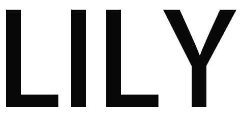 Lily Studio Coupons and Promo Code