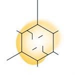 spermidine-n Coupons and Promo Code