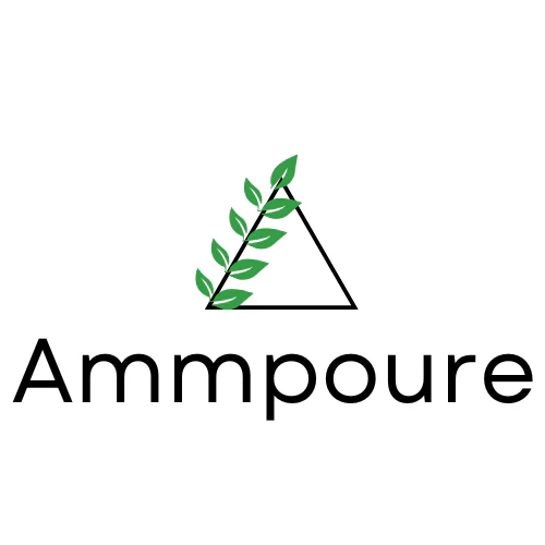 AMMPOURE Coupons and Promo Code