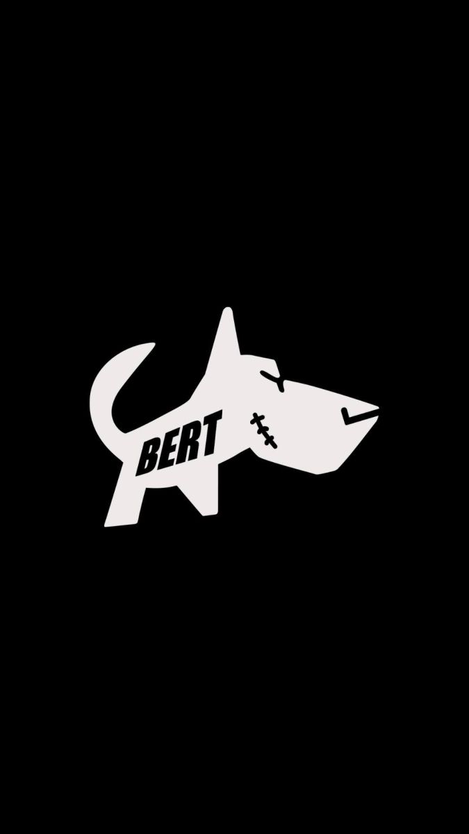 The BERT Shoes Coupons and Promo Code