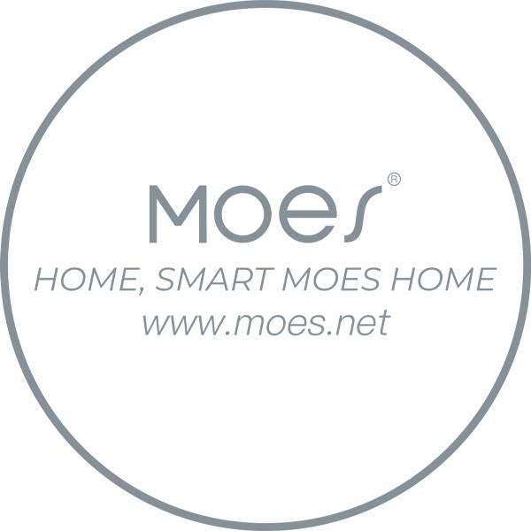 Moes House Coupons and Promo Code