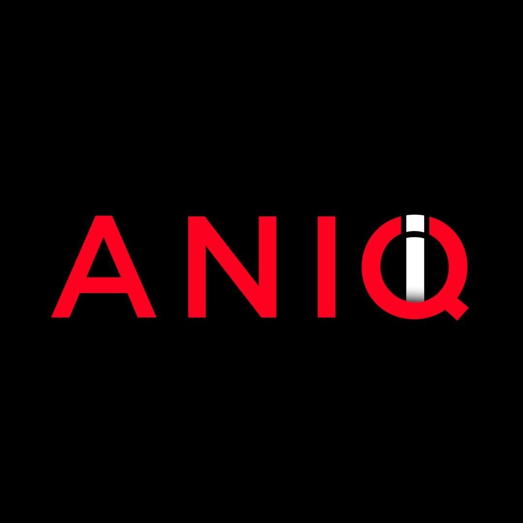 ANIQI Coupons and Promo Code