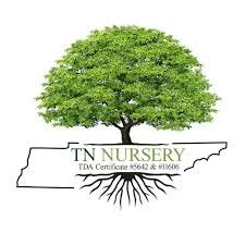 TNnursery Coupons and Promo Code